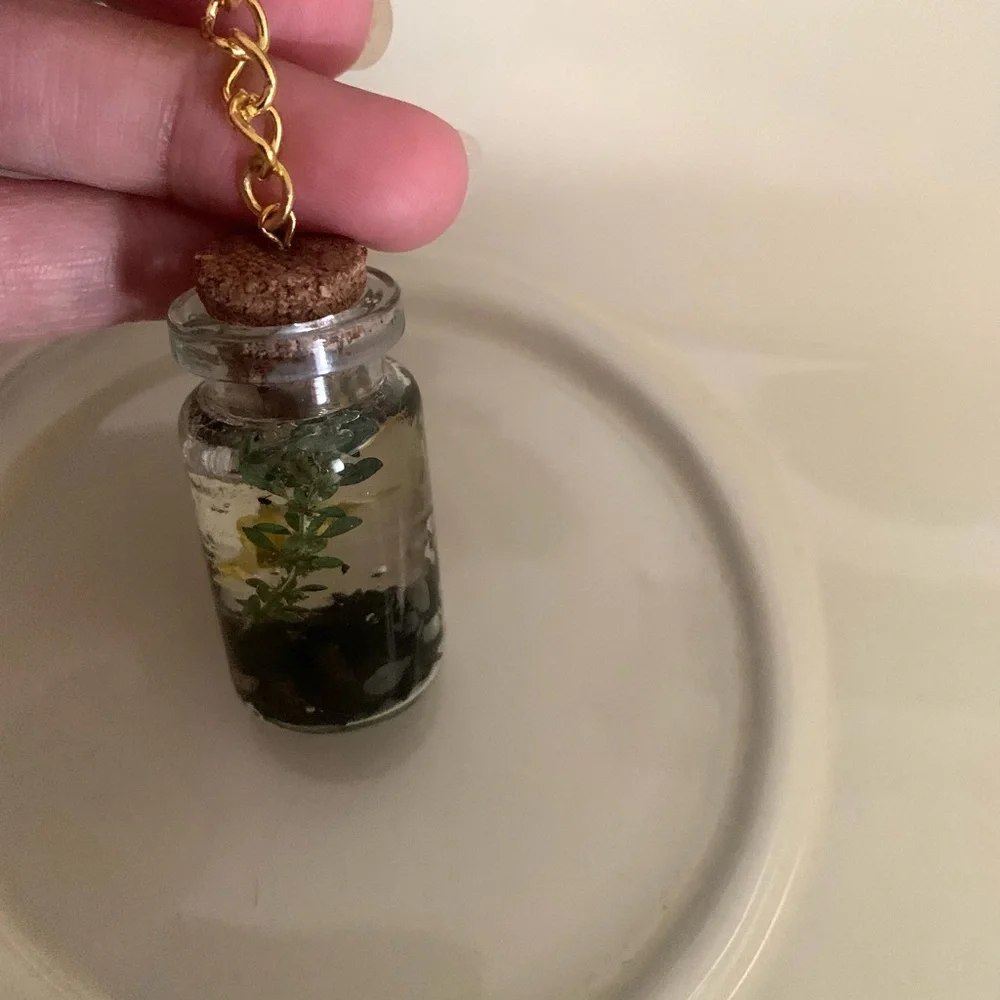 Keychain-Plants - Picture 2 of 4